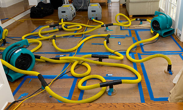 Professional Flood Damage Restoration technician working in Fort Mohave, AZ